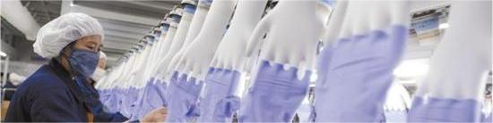 Disposable Surgical Gloves Making Machine Factory -2